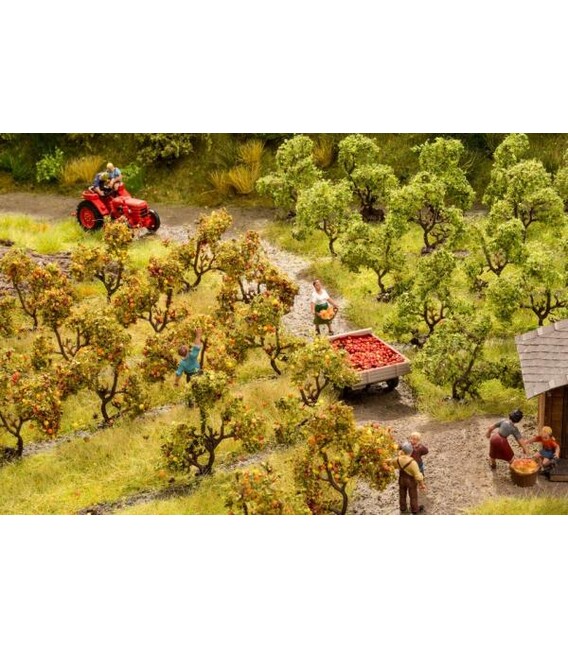 Set 12 meri, 35 mm înălțime