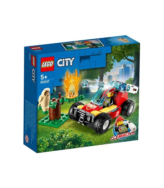 Incendiu în pădure