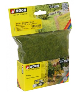 Fire iarbă sălbatică pajiște