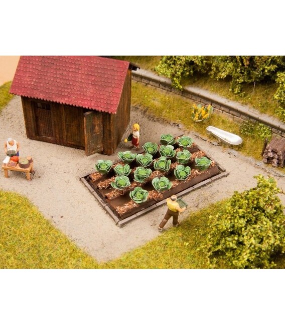 Varză albă H0 Noch 13217